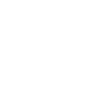 Civil Litigation